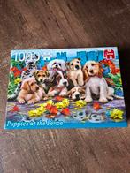 Jumbo "Puppies at the Fence" legpuzzel 1000 stukjes, Hobby en Vrije tijd, Denksport en Puzzels, Ophalen of Verzenden, 500 t/m 1500 stukjes