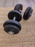 2x dumbbell 16kg, Ophalen, Gebruikt, Dumbbell