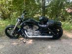 Harley davidson vrod muscle 2010 5hd, Motoren, Motoren | Harley-Davidson, 2 cilinders, Particulier, Overig, 1250 cc