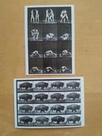 Eadweard Muybridge ansichtkaarten, Verzamelen, Ophalen of Verzenden, Ongelopen
