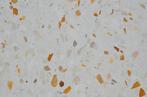 Terrazzo tegels 40x40 cm wit geel Sovicille granito vloer, Nieuw, Ophalen of Verzenden, 40 tot 60 cm, 40 tot 60 cm