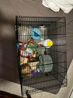 Hamster kooi, Kooi, Gebruikt, Minder dan 75 cm, Hamster