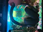 fresh & rebel headphones clam 2, Audio, Tv en Foto, Koptelefoons, Overige merken, Gebruikt, Bluetooth, Ophalen of Verzenden