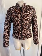 Ongedragen gewateerd panter print jasje S, Kleding | Dames, Bruin, Nieuw, Ophalen of Verzenden, Maat 36 (S)