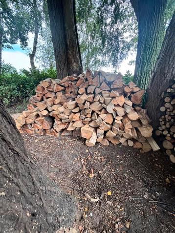 Kachelhout beuken beschikbaar voor biedingen