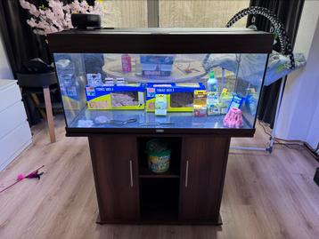 Te koop Gebruikt aquarium beschikbaar voor biedingen