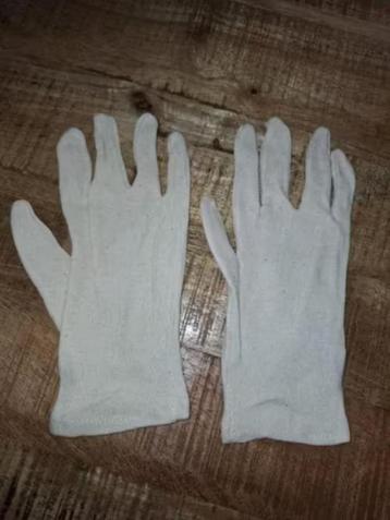 Katoenen Handschoenen per 12 paar - Nieuw beschikbaar voor biedingen