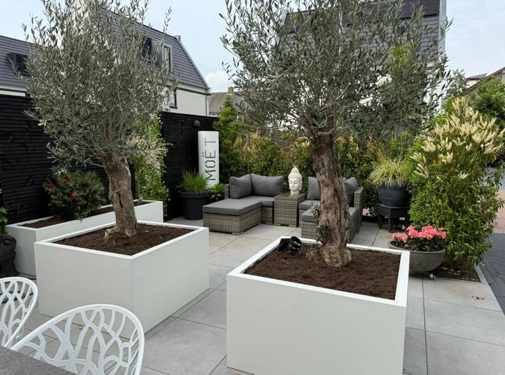 Plantenbakken, Tuin en Terras, Bloembakken en Plantenbakken, Nieuw, Metaal, Tuin, 30 tot 60 cm, Ophalen of Verzenden