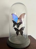 Stolp met Vlinders, Huis en Inrichting, Ophalen of Verzenden