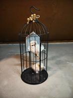 Sierkooi, Huis en Inrichting, Ophalen, Zo goed als nieuw