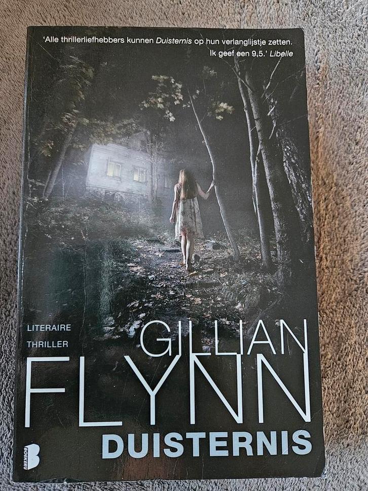 Duisternis - Gillian Flynn, Boeken, Thrillers, Zo goed als nieuw, Nederland, Ophalen of Verzenden