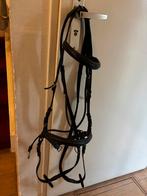 Kaakgekruist bitloos hoofdtel COB, Ophalen of Verzenden, Zo goed als nieuw, Overige soorten