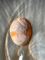 Losse schelp camee, Ophalen of Verzenden, Overige materialen