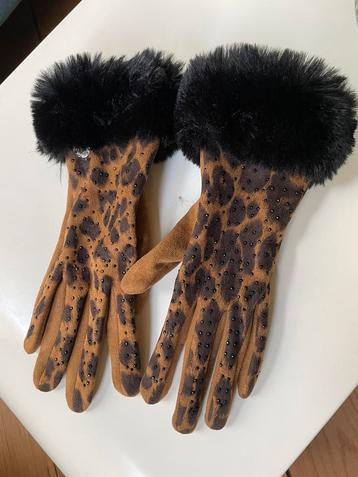 Elegant Italian gloves