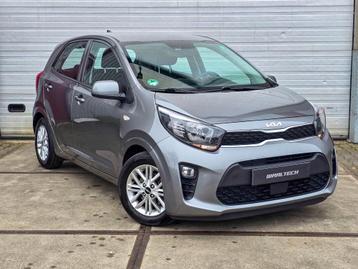 Kia Picanto 1.0 Dynamic Line NAP Cruise Camera Carplay Lmv beschikbaar voor biedingen