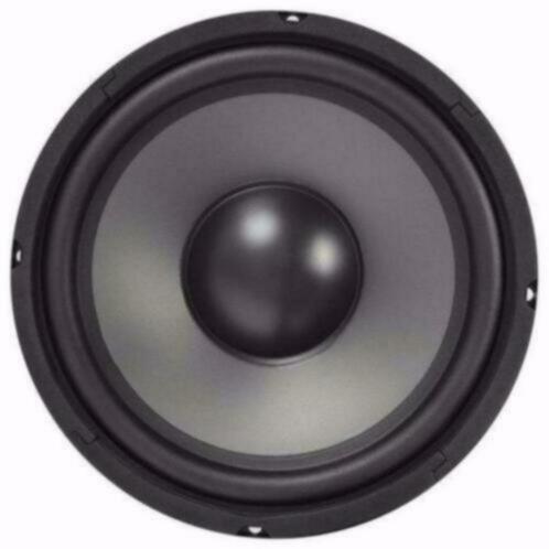 Bas Speaker 250 Watt 25 Cm 8 Ohm [214-T], Audio, Tv en Foto, Luidsprekers, Nieuw, Overige typen, 120 watt of meer, Overige merken