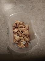 Gratis zelfgemaakt kattenvoer (kip en orgaanvlees), Ophalen, Kat