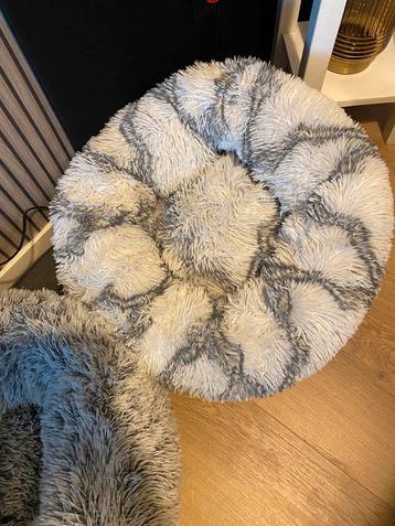 Honden mandjes beschikbaar voor biedingen