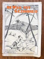 Zevendedagsadventisten - De weg tot gezondheid - 1930's, Verzamelen, Religie, Ophalen of Verzenden, Gebruikt, Boek, Christendom | Protestants
