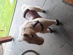 MY PONY, rijdend speelgoed paard van ROLLZONE , 3 - 6 jaar, Ophalen of Verzenden