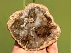 Versteend hout schijf plak dubbel gepolijst mineralen, Ophalen of Verzenden, Mineraal
