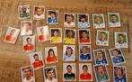 Panini 2010 FIFA World Cup South Africa stickers, Ophalen of Verzenden, Nieuw, Meerdere stickers