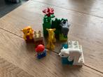Duplo 4962 Dieren Set - Compleet!, Ophalen of Verzenden, Zo goed als nieuw, Complete set, Duplo