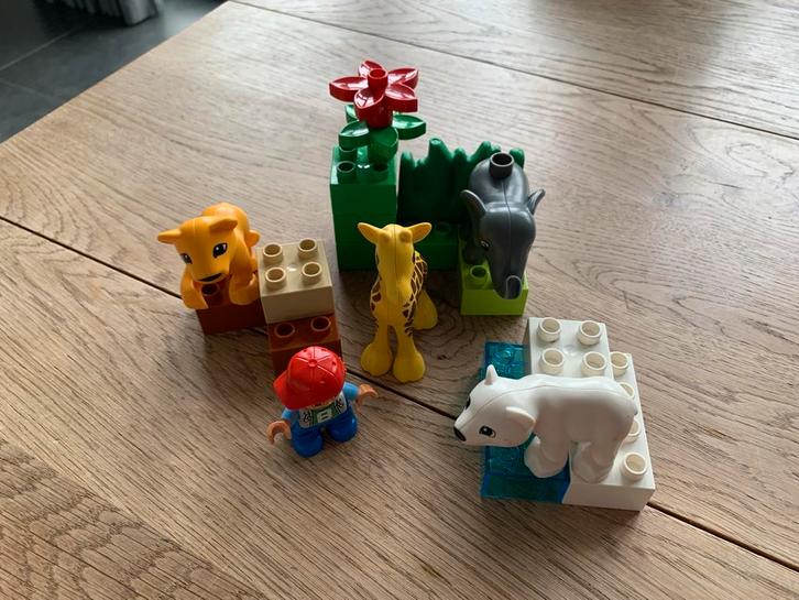 Duplo 4962 Dieren Set - Compleet!, Kinderen en Baby's, Speelgoed | Duplo en Lego, Zo goed als nieuw, Duplo, Complete set, Ophalen of Verzenden