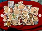 Doge stickerset 50 stuks, Ophalen of Verzenden, Nieuw, Meerdere stickers