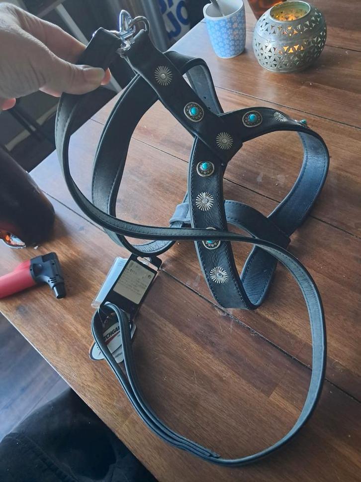 Groot Honden Tuig - Stoer en Comfortabel!, Dieren en Toebehoren, Hondenriemen, Zo goed als nieuw, Hondenriem-accessoire, Ophalen of Verzenden