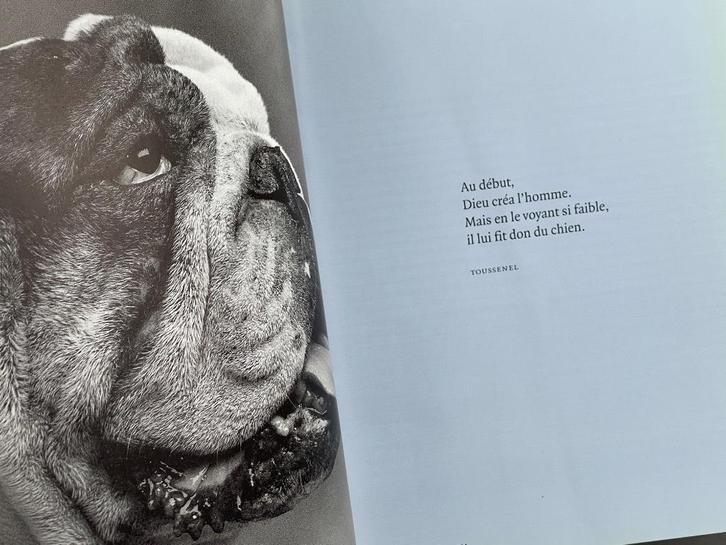Fotoboek met 1000 foto's over honden (1000 Dogs), Boeken, Dieren en Huisdieren, Zo goed als nieuw, Honden, Ophalen of Verzenden