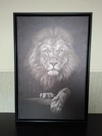 Canvas schilderij leeuw, Ophalen of Verzenden, Zo goed als nieuw, A1 t/m A3, Dier of Natuur
