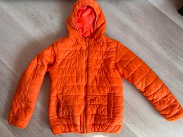 Feloranje winterjas Zeeman, maat 146/152 beschikbaar voor biedingen
