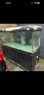 Groot aquarium gratis op te halen MOET WEG, Ophalen, Gebruikt, Leeg aquarium