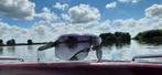 Carrera Topcar 1/N – Black Crystal, Info@rolfoptiek.nl, Italie, Zonnebril, Zwart