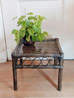 Vintage prachtig rotan "Veloo" tafeltje met rookglazen blad, Ophalen of Verzenden, Vierkant, Minder dan 55 cm, Minder dan 45 cm