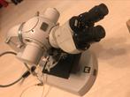 Carl Zeiss, Audio, Tv en Foto, Optische apparatuur | Microscopen, Gebruikt, Minder dan 400x, Biologische microscoop, Ophalen