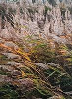 ansichtkaarten fotokaart kaarten foto's  postcrossing uniek, Ophalen, 1980 tot heden, Ongelopen