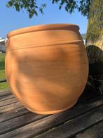 Terra Botanica, ovale terra cotta pot, 30 cm, Tuin en Terras, Bloempotten, 25 tot 40 cm, Binnen, Ophalen of Verzenden, Zo goed als nieuw