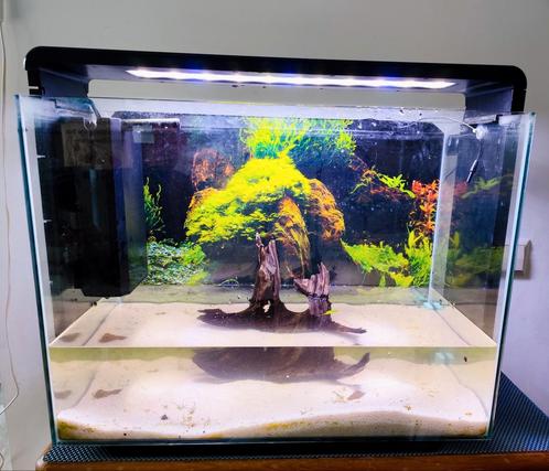Aqarium home 85 te koop ivm verandering van aqrium, Dieren en Toebehoren, Vissen | Aquaria en Toebehoren, Gebruikt, Leeg aquarium