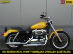 Harley-Davidson XL 1200 C SPORTSTER 1200 CUSTOM (bj 2007), Motoren, Motoren | Harley-Davidson, Chopper, Bedrijf, 1202 cc