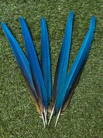 Ara staartveren, Ophalen of Verzenden, Materiaal