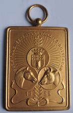 paas vee tentoonstelling rotterdam 1955, Postzegels en Munten, Penningen en Medailles, Ophalen of Verzenden, Overige materialen