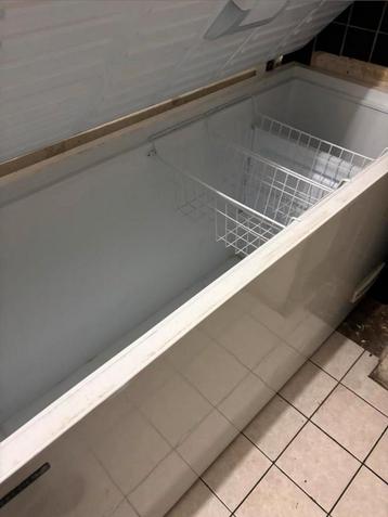 Vrieskist vriezer diepvries diepvrieskist Bezorging mogelijk beschikbaar voor biedingen