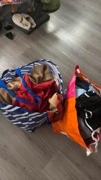 Bigshoppers kleding L/XL, Ophalen, Zo goed als nieuw, Maat 42/44 (L)