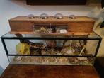 Hamster terrarium hok, Dieren en Toebehoren, Zo goed als nieuw, Hok, Hamster, 75 tot 110 cm