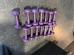 14 x 1 kg rubberen dumbells paars, Dumbbell, Gebruikt, Gewichten, Ophalen of Verzenden