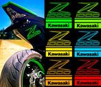 Kawasaki Z1000 logo stickers 20+ kleuren alle afmetingen, Verzenden
