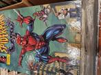 complete Collector's Edition Spider-Man the animated series, Vanaf 12 jaar, Verzenden, Zo goed als nieuw, Amerikaans
