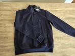 Tommy Hilfiger donkerblauwe trui maat M, Tommy Hilfiger, Nieuw, Ophalen of Verzenden, Maat 48/50 (M)